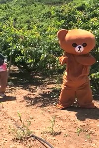 Funny Bear #funny #fun #video #reel #movie #bear #love #comedy #beard #lol #bears #memes #travel #meme #nature #fun #wildlife #funnymemes #follow #instagood #lmao #art #friends #usa #photography #humor #instabear #like #scruff #dankmemes #alaska #cute #california #instagram | Funny Bear