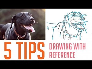 5 Tips on How I Draw From Reference (For Beginners)