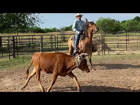 Ranch Roping