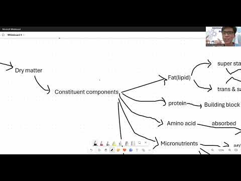 Sumarize video: How the food you eat affects your brain
