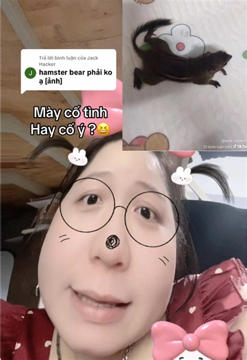 Trả lời @Jack Hacker con tắc kè 🦎 #otronuoihamster🐹 #otronuoihamster #hamster🐹_of_ngoan #_phamtngoan #phamngoan4104