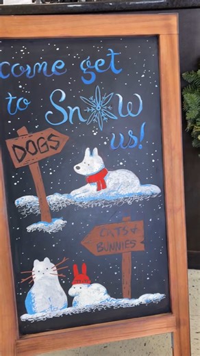 All the jingle, all the joy, and ALL the cookies 🍪 We let our adoptable dogs pick out toys and enjoy a special holiday cookie—and most of them made it very clear where their hearts truly lie... A big thank you to our friends at Hound and Horse Bakery for helping make Christmas time extra sweet for our shelter dogs and making those tails wag! 🎄❤️ | Lexington Humane Society