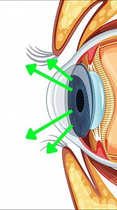 10K views · 32 reactions | What's the RAREST Eye Color on Earth? | The World of Facts | Facebook