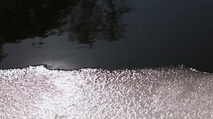 Free stock video - Lake in the nature