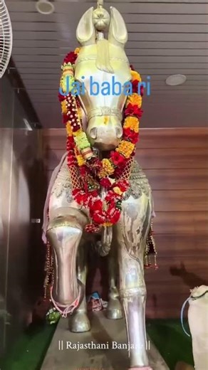 Baba ramdev Ji ki kirpa🚩 #ramdev Ji🚩🚩 #runicha darbar 🚩#ramdevra