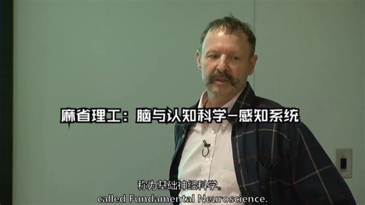 麻省理工：脑与认知科学-感知系统