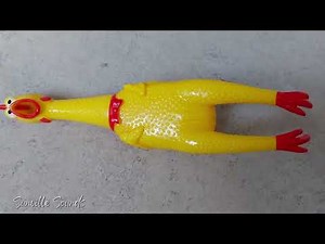 10 Hours of Screaming Chicken Toy Sound