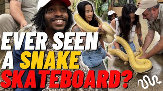 Have you ever seen a snake skateboard!
