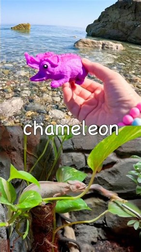 Toy Learning Fun | Kids Learn Animal Names at the Shore: Cow Cheetah Mouse Panda Chameleon