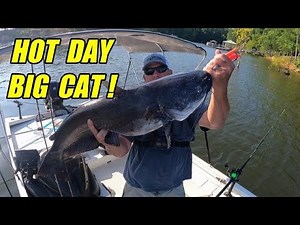 Hot Summer Catfishing at Kerr Lake! Early Morning Vertical Fishing with Cut Bait!!