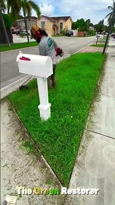 Hedge Trimming | Yard Cleaning | Cutting | Mowing #shorts #satisfying #gardening