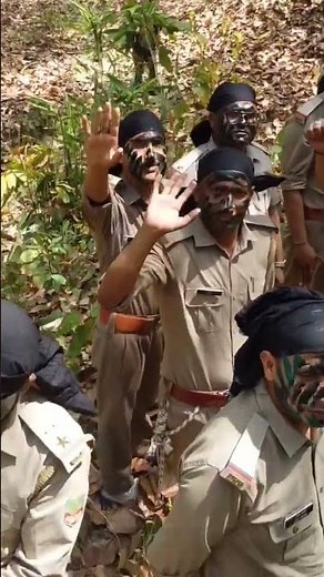 #uttarakhand #forest #commando #training #jungle #survival with stf commando k suresh sir