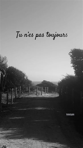 Lettre à France #michelpolnareff #chansonfrancaise #souvenir #nostalgie #chanson