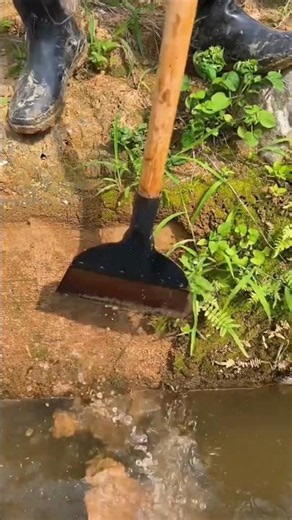 Amazing stainless steel flat head shovel | Essential tools for rural farmers #tools #farming