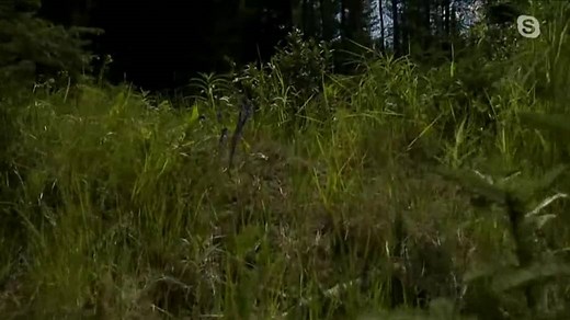 Reflecting on the Gillam manhunt