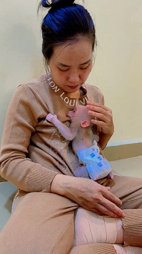 Baby Monkey Rescue Foundation Saved and happy! 🐒 Our baby monkey thrives with love. Join us to save more! Donate: [Link in bio] #BabyMonkeyRescue #MonkeyRescue #AnimalRescue #TeaCup | Baby Monkey Rescue Foundation