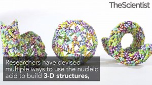 Read more here: http://bit.ly/2tWpb9N Browse the July/August issue online now: http://bit.ly/2vkjsMR | Cancer and Genomic Science