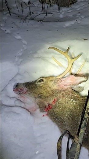 Muzzleloader Season days 1, 2 , Scored an 8 on day 2. I still need to fill 2 deer and 1 bear tag .