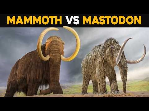 How Different Were Mammoths From Mastodons?