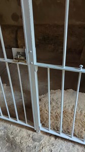 The Garden Tomb in Jerusalem a possible location for the crucifixion, burial and resurrection of Christ Jesus. Near to the Damascus Gate and standing in the shadow of Skull Hill you will find this beautiful garden with its ancient empty tomb. Since 1894 the focus of our ministry has been Proclaiming the death, burial & resurrection of Jesus Christ to the nations, so all can know and live for the glory of Jesus. A place of worship, witness, and contemplation. #TheGardenTomb https://gardentomb.com