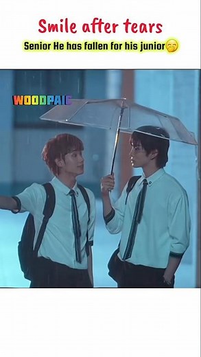 smile after tears 🥰 #smileaftertears #bl #woodpaic #blseries #taiwanbl #woodpaicbl