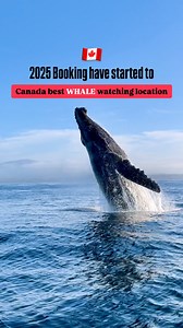 🐋 Whale watching season is here! Experience a once-in-a-lifetime encounter with these ocean giants in Canada’s top marine wildlife destinations. 🌊 Don’t miss out—book now and tick this bucket list adventure off your list! 💙 1. Victoria, British Columbia (April–October) @princeofwhaleswhalewatching – Offers covered catamaran tours with a whale sighting guarantee. @orcaspiritvic – Provides luxury whale-watching experiences with heated cabins and 360° decks. Whales: Orcas, humpbacks, greys Cost: