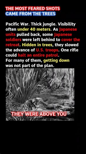 LEFT IN THE TREES | PACIFIC WAR (WWII) #shorts