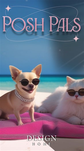 Matching outfits, pet-friendly patios, and unforgettable memories... Vacation goals achieved! Jump into the Posh Pals Event for a stylish trip with your four-legged friends and collect your free gift ✨ 🐶 Would you rather travel with your pets or without? Be honest! #DesignHome #petdecor | Design Home