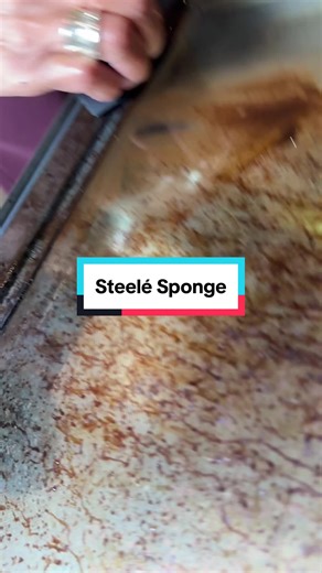Eco-Friendly Sponge for Stainless Steel Cookware