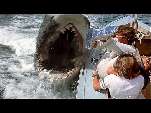 Rich kids think they can escape the shark | Jaws 2 | CLIP