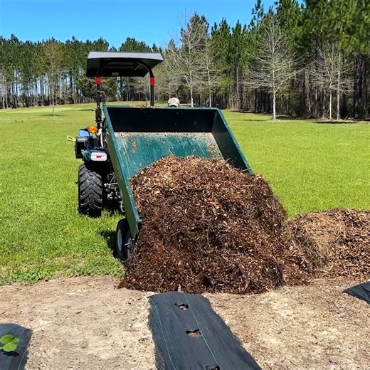 6.8K views · 57 reactions | Why We COVER Our Garden in Wood Chips #gardening #garden #spring #woodchips | Piney Grove Homestead and Mini Farm | Facebook