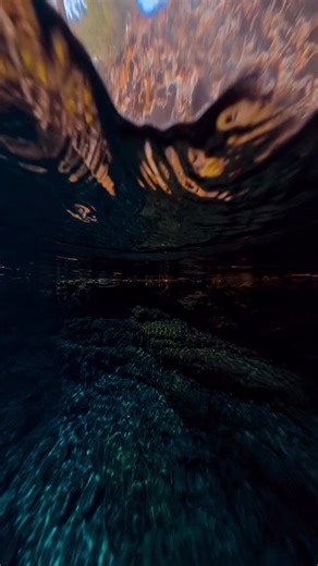 Would you take a swim in this 38 °F water? I forgot my booties and my toes were the first to fail me after about 20 minutes. The new professional dive housing for the X5 from @insta360 is next level 🙌🏽 | Steven Donovan