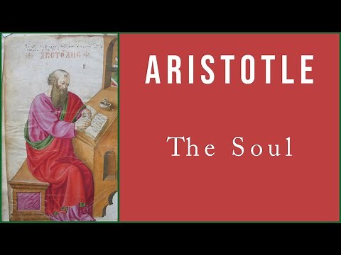 Aristotle's Theory of Soul