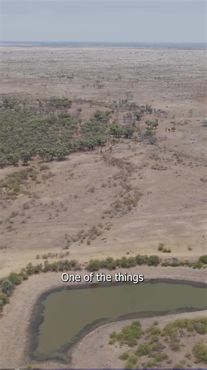 Revolutionizing Cattle Farming with Water Monitoring Cameras