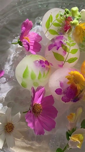 ❄️🌸🌼Frozen Floral Serenity — Aesthetic Ice Blossoms & Calm Ambience