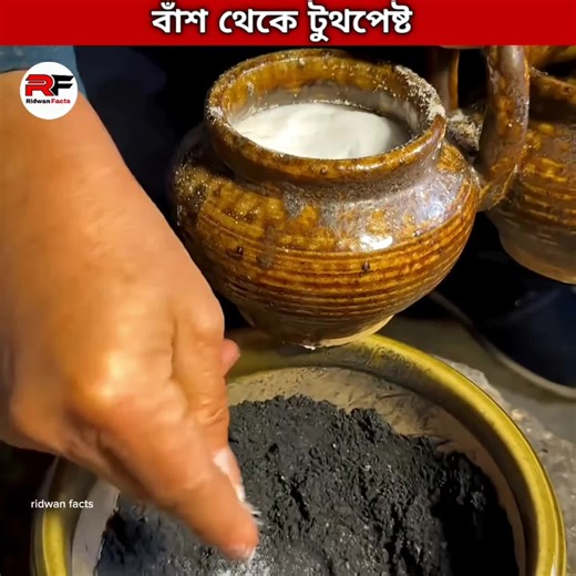 Incredible Bamboo Charcoal Benefits You Must Know