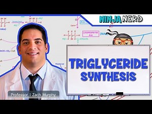 Metabolism | Triglyceride Synthesis Video Lecture - MCAT