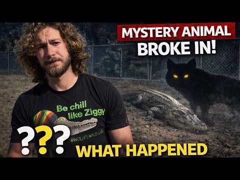 This Is Every Keeper’s WORST Nightmare