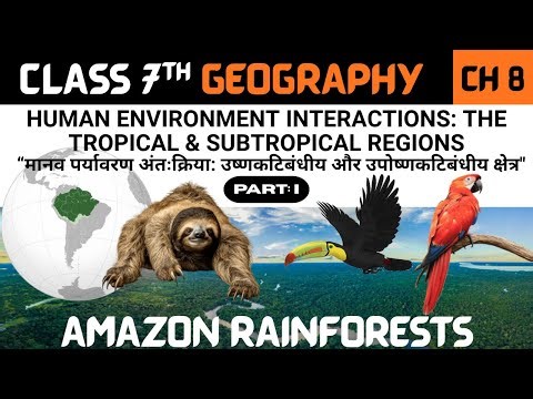 NCERT Geography Class 7 CH-8 Part-I HUMAN ENVIRONMENT INTERACTIONS | Life in Amazon Forests