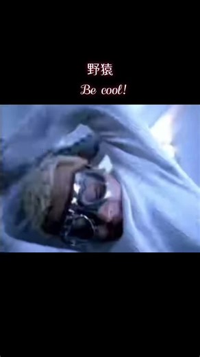 懐かしい曲シリーズ！！野猿第二弾！！Be cool!も好きだったな〜この曲カッコいい！って小6の頃思ってて好きだったな〜#野猿 #Becool #1999年 #23年前 #懐かしの曲 #好きな曲 #曲ってあの頃に戻れる #あの頃に戻りたい