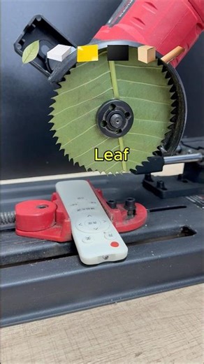 Which one can cut remote control?