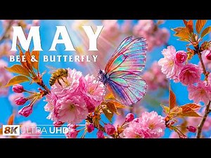 Springtime Splendor 4K | Fluttering Butterflies & Blooming Spring Gardens 🌷 A Season Awakens
