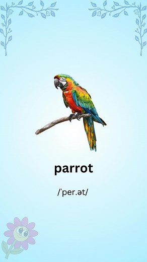 All About Parrots: English Vocabulary Lesson