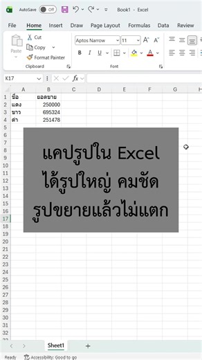วิธีแคปรูปใน Excel ให้ได้รูปใหญ่ คมชัด ไม่แตก
