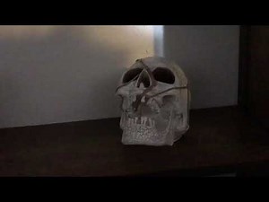 Gemmy Skull Plays Halloween Theme Animated Prop
