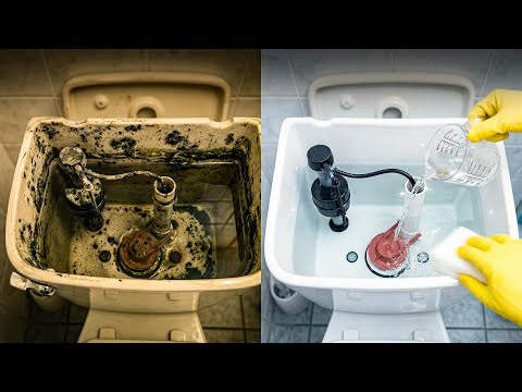 Black Mold Growing INSIDE Your Toilet Tank? Here’s the Safe Way to Kill It Before It Spreads