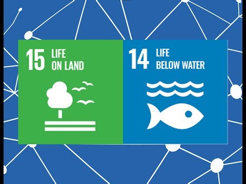 AI for SDGs : Life Below Water & Life On Land (Joint Session)