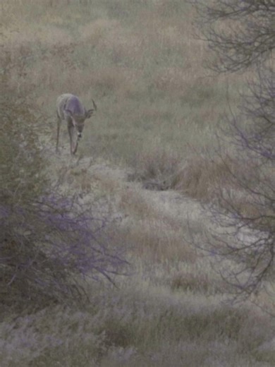 Realtree Road Trips on Reels