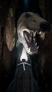 Unseen…Deep-Sea Wolf Eel‼️#shorts #youtubeshorts #eel #wolffish #fish