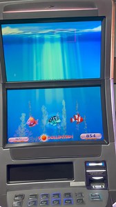 4.3K views · 36 reactions | Goldfish Bonus  | Slot Machines ltd. | Facebook